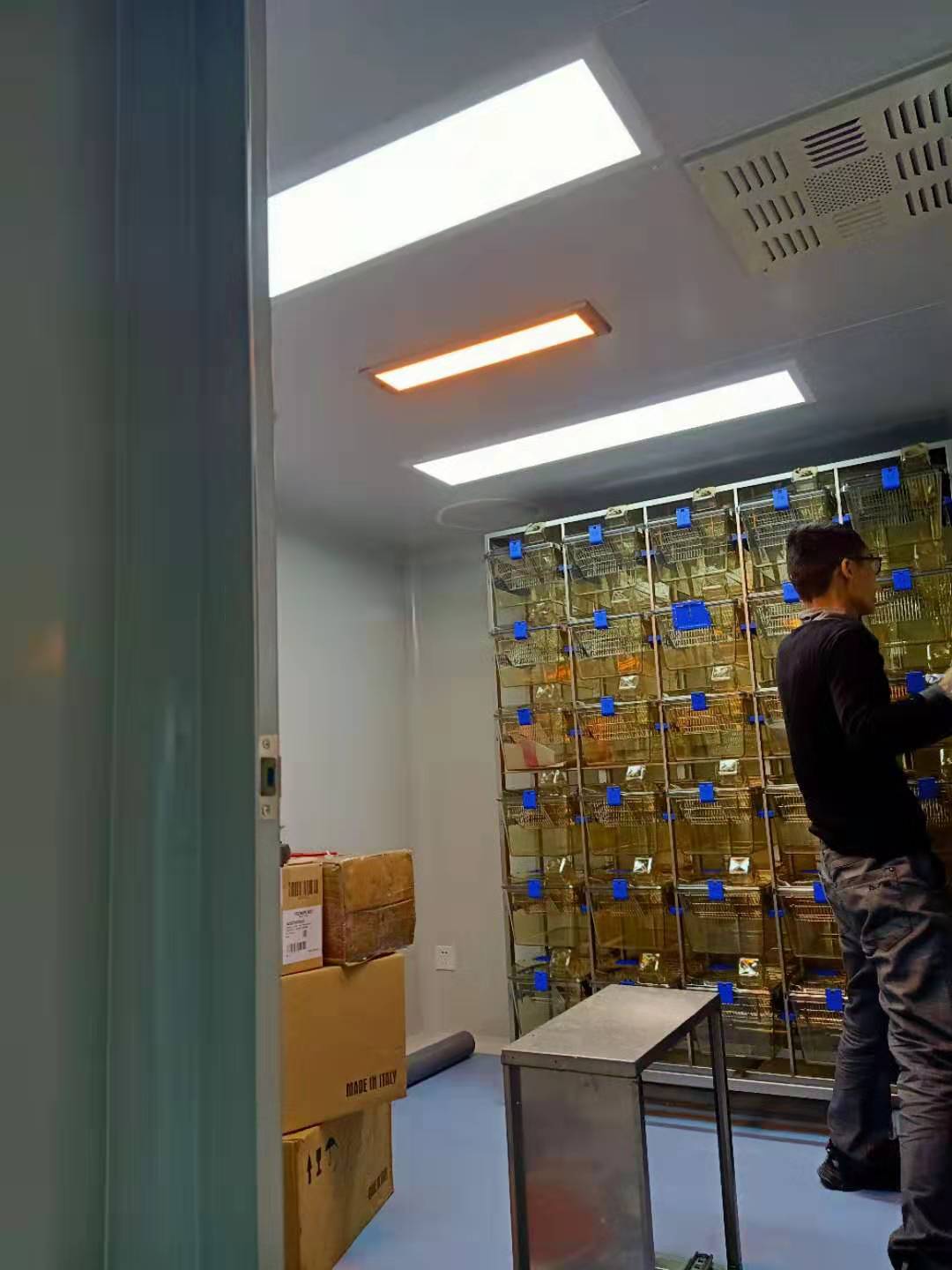 深圳中山泌尿外科醫(yī)院動(dòng)物實(shí)驗(yàn)室建設(shè)